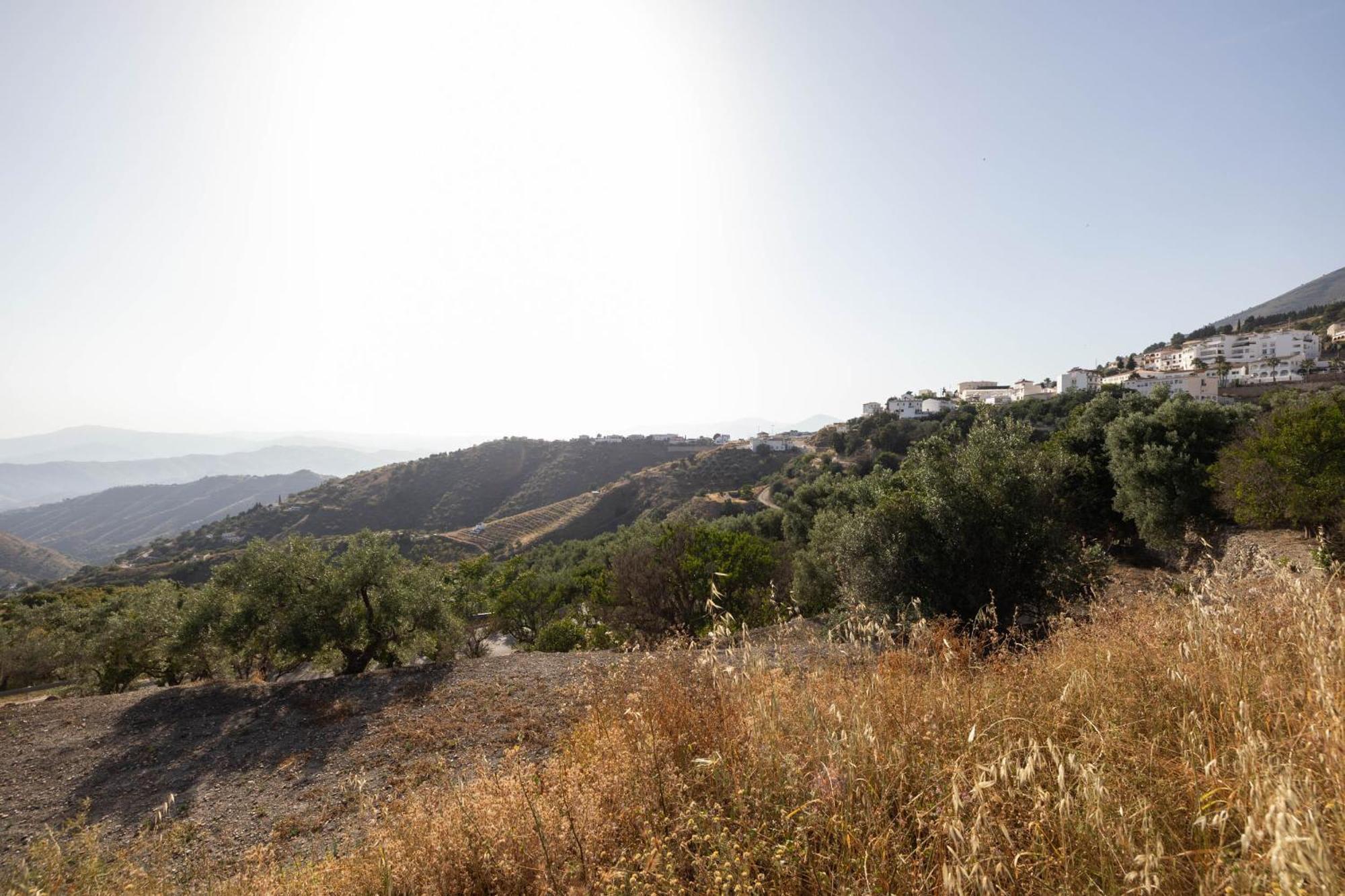 Olive & Ivy Guesthouse Canillas de Aceituno Εξωτερικό φωτογραφία