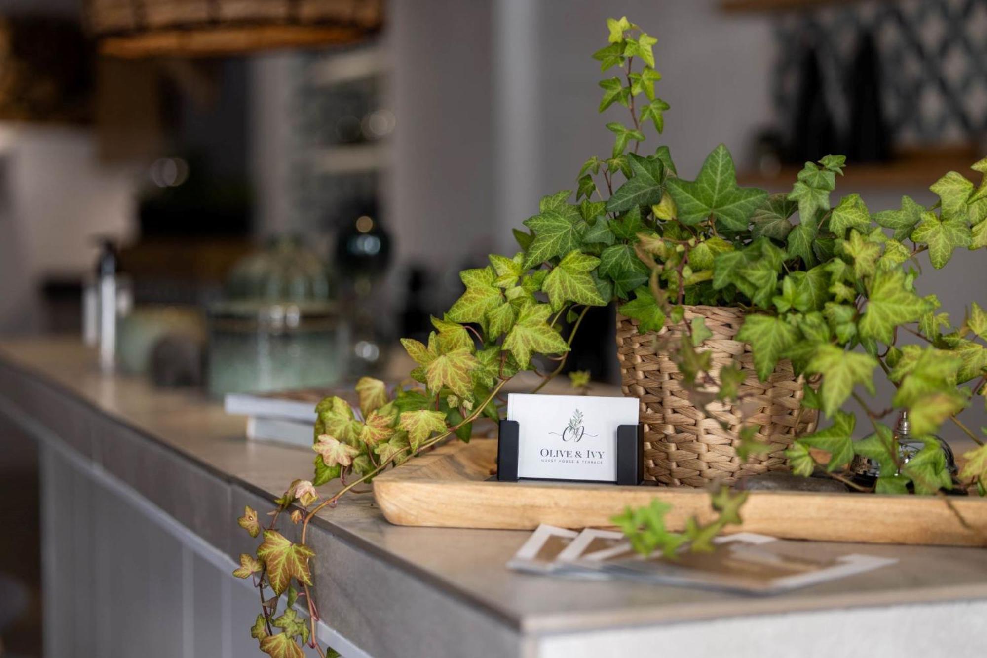 Olive & Ivy Guesthouse Canillas de Aceituno Εξωτερικό φωτογραφία