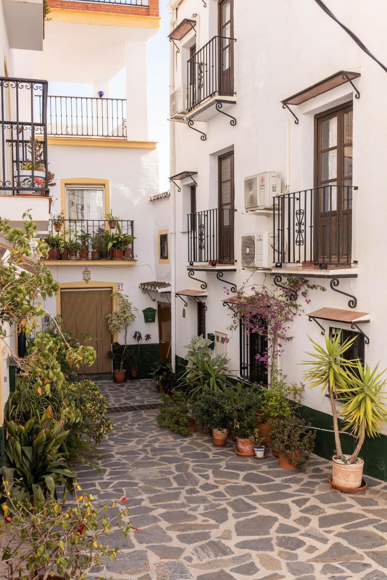 Olive & Ivy Guesthouse Canillas de Aceituno Εξωτερικό φωτογραφία